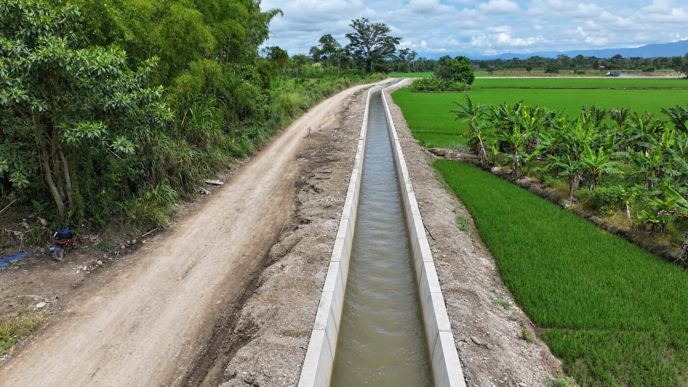 Canal principal revestido en concreto entre arrozales